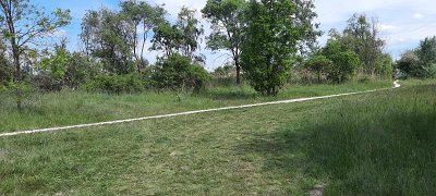 437094889_802247245290308_924742304550350567_n