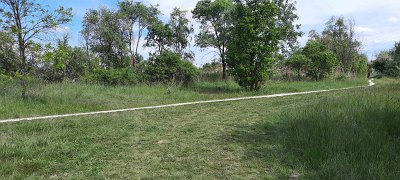 438204525_453517590552127_2378347874178007234_n